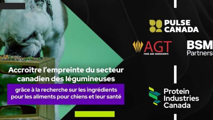 Dog Food announcement graphic FR