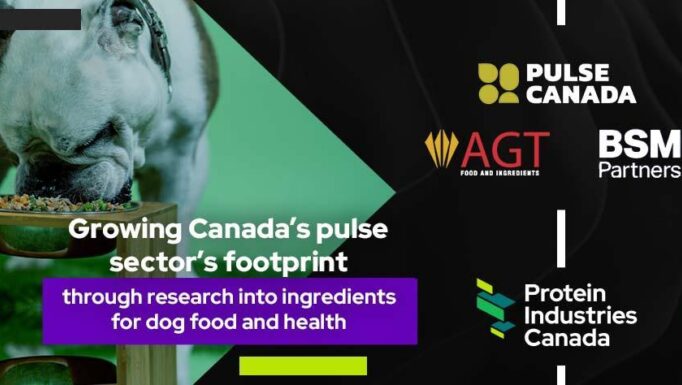 Dog Food announcement graphic