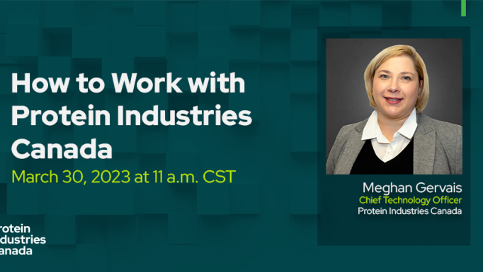 EN How to work with us