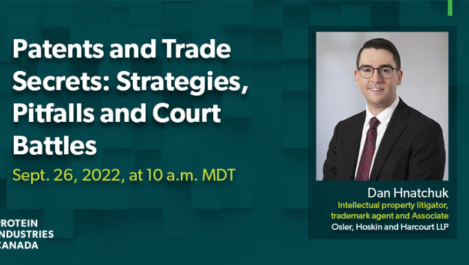 IP court examples webinar promo