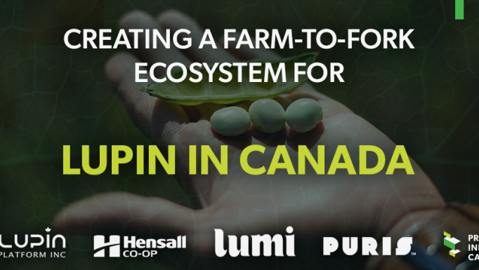 Lupin Social Graphic