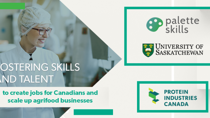 Social Media Graphic EN Palette Skills U Sask